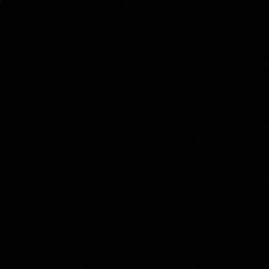 Meet your Posher, Hector